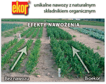 nawozy