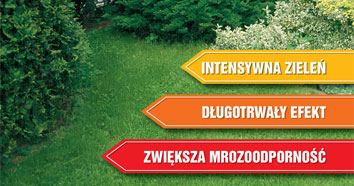 iglaki nawozy