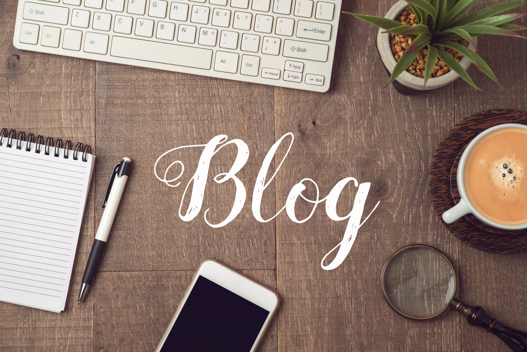 Blog firmy Ekor